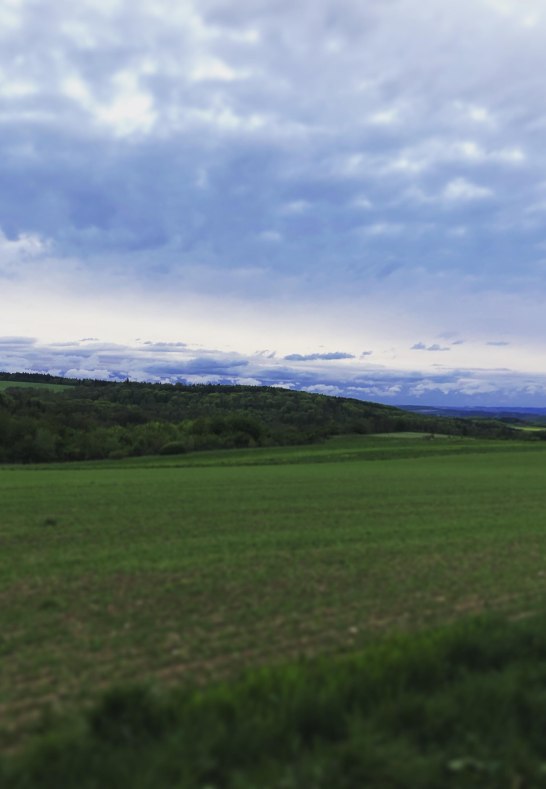 Ausblick &uuml;ber die Felder | &copy; Anna Becker