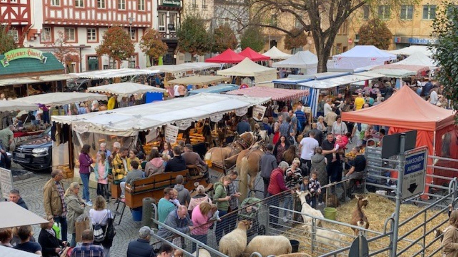 Bauernmarkt | © Petra Winkler Bauernmarkt | © Petra Winkler