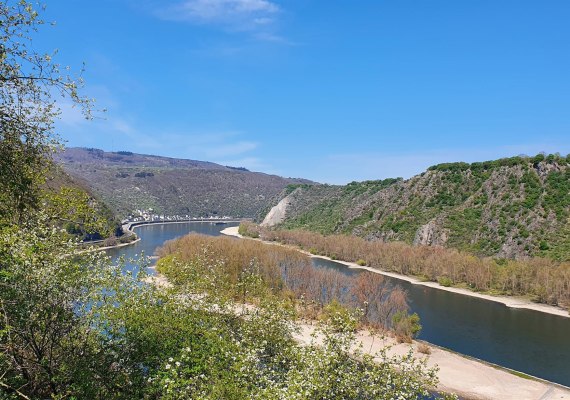 Rheinblick | © T. Biersch Rheinblick | © T. Biersch