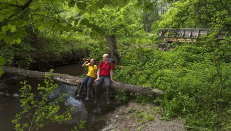 Perdskimbel Baumstamm | &copy; Wanderb&uuml;ro Saar-Hunsr&uuml;ck - Klaus-Peter Kappest