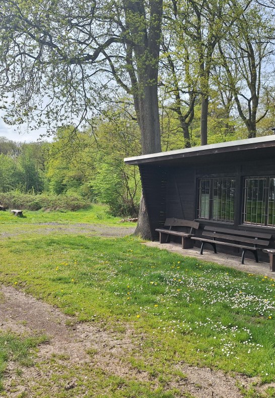 Ruheb&auml;nke an der Grillh&uuml;tte | &copy; T. Biersch