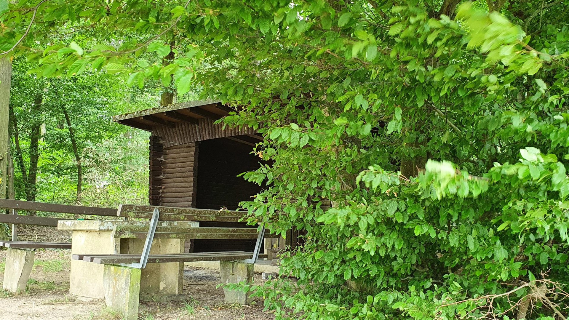 Thiergartenh&uuml;tte | &copy; T. Biersch