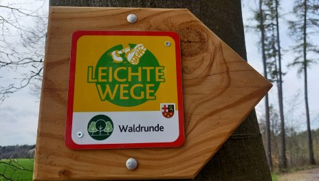 Emmelshausen Leichte Wege Waldrunde