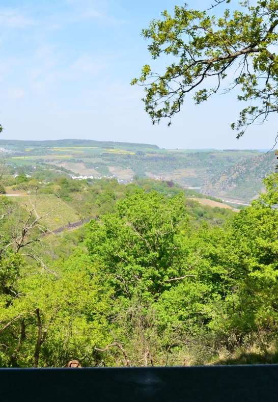 Hinnerbeil 5 | &copy; Tourist-Information Oberwesel