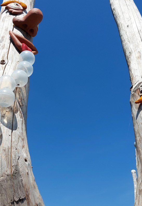 Der besondere Baum | &copy; T. Biersch