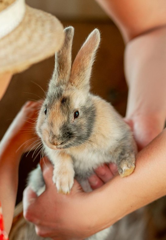 Kleintierzoo | &copy; C. W&ouml;lbert