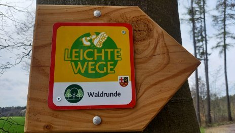 Emmelshausen Leichte Wege Waldrunde