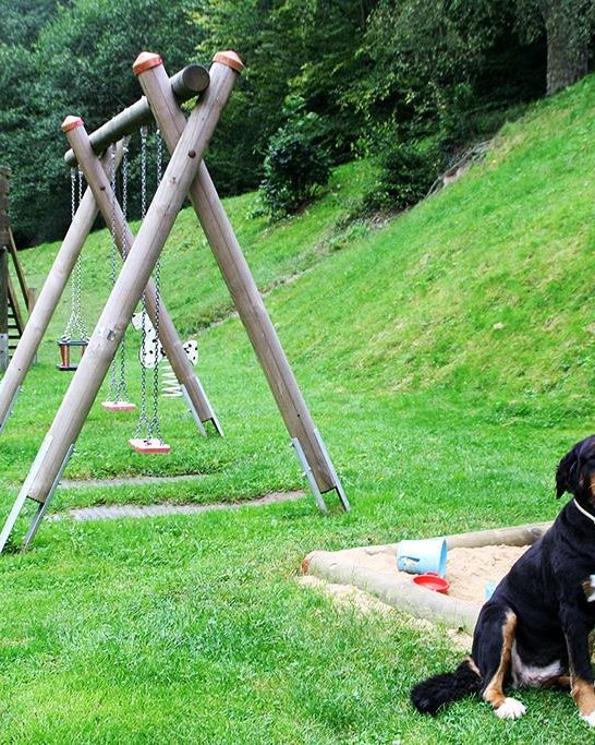 Nala auf dem Spielplatz | &copy; Anna Becker