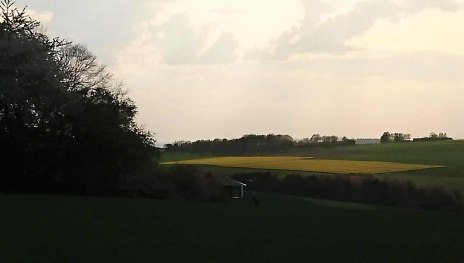 Ausblick Steinkaul | &copy; B. Vogt