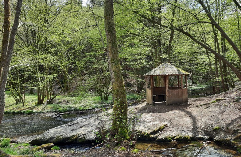 Rutsch im Baybachtal Emmelshausen | © TI Hunsrück-Mittelrhein Rutsch im Baybachtal Emmelshausen | © TI Hunsrück-Mittelrhein