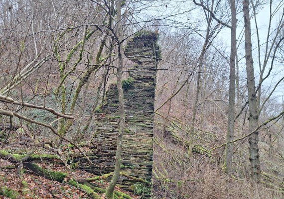 M&uuml;hlenruine - | &copy; T. Biersch