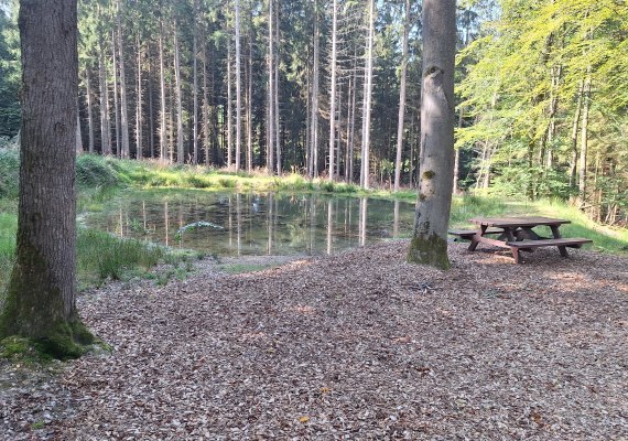 Rastplatz am Teich | © T. Biersch