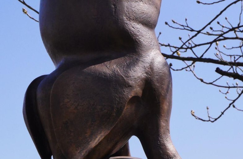Freiheits-Wutz | &copy; B. Vogt