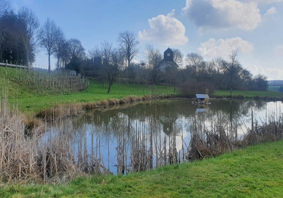 Teich | © T. Biersch Teich | © T. Biersch