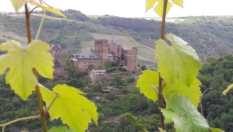 Sch&ouml;nburg Oberwesel Traumschleife Schwede Bure