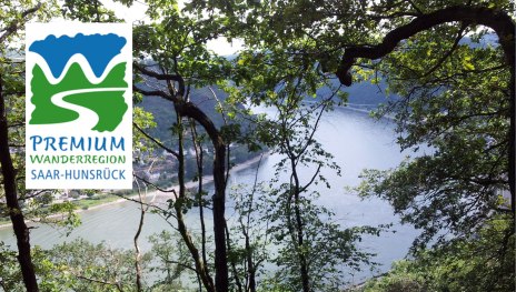 Blick durch den Wald auf den Rhein mit dem Logo der Premium Wanderregion Saar-Hunsr&uuml;ck