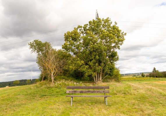 Ruhebank | © S. Mauer Ruhebank | © S. Mauer