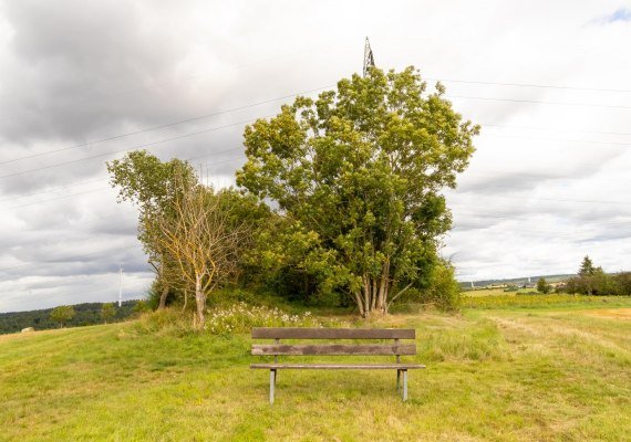 Ruhebank | © S. Mauer Ruhebank | © S. Mauer