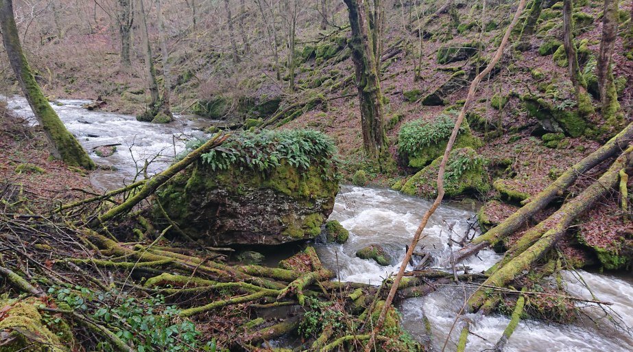 Steinrausch im Baybachtal | &copy; T. Biersch
