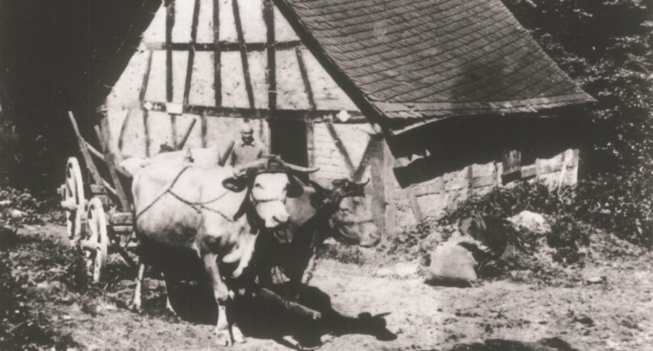 Alte Heyweilerer Bauernmühle | © T. Biersch
