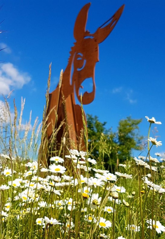 Stahlesel - Blumen | © TI Hunsrück-Mittelrhein