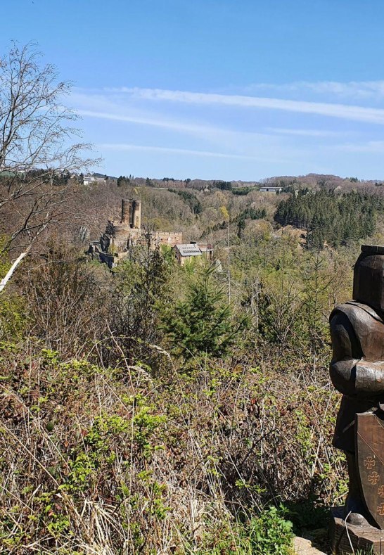 Ehrenburgblick Ritter fern | &copy; TI Hunsr&uuml;ck-Mittelrhein
