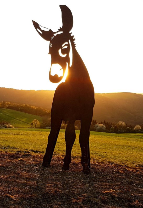 Stahlesel - Sonnenuntergang | © TI Hunsrück-Mittelrhein