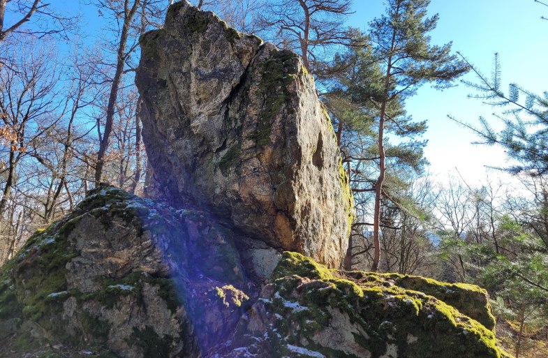 Kuckucksnacks | &copy; E. Bender