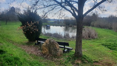 Laudert Naturschleife See mit Bank