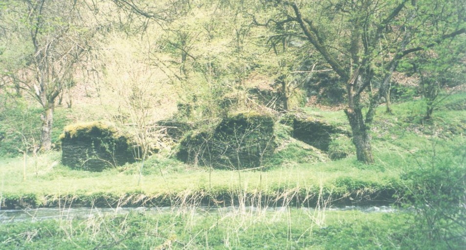 Ruine Waldeckmühle | © T. Biersch