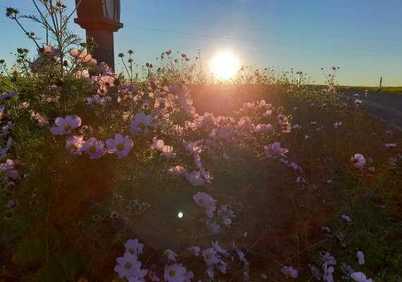 Sonnenuntergang | &copy; C. Vogt