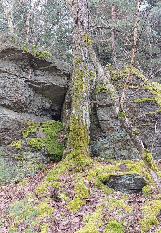 Kuckucksnacks c | © T. Biersch Kuckucksnacks c | © T. Biersch