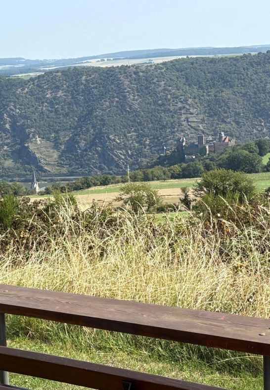 9 Fewo - Blick vom Ortsrand von Oberwesel-Dellhofe | © Fam. Hartel Dellhofen