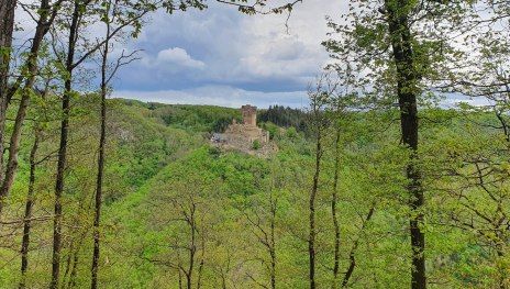 Ehrenburgblick | © T. Biersch