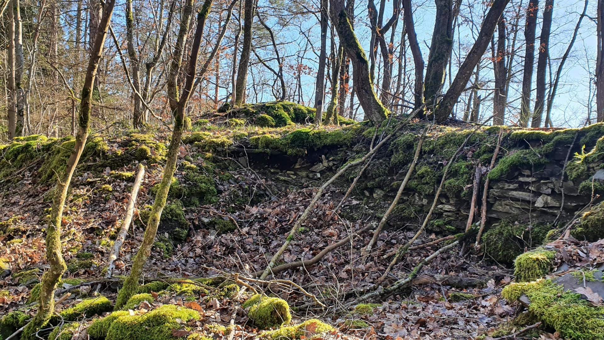 Haacks K&ouml;ppsche | &copy; T. Biersch