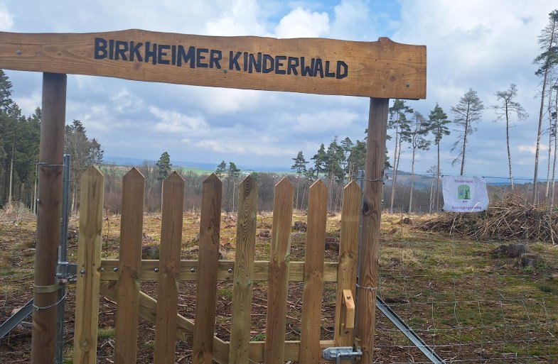 Birkheimer Kinderwald | &copy; T. Biersch