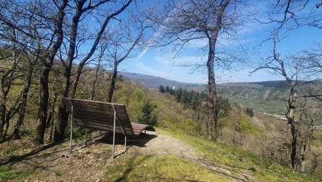 Liegebank am Wallertskopf | &copy; T. Biersch