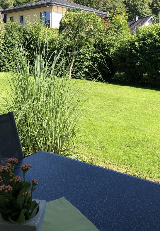 Es gr&uuml;nt der Garten