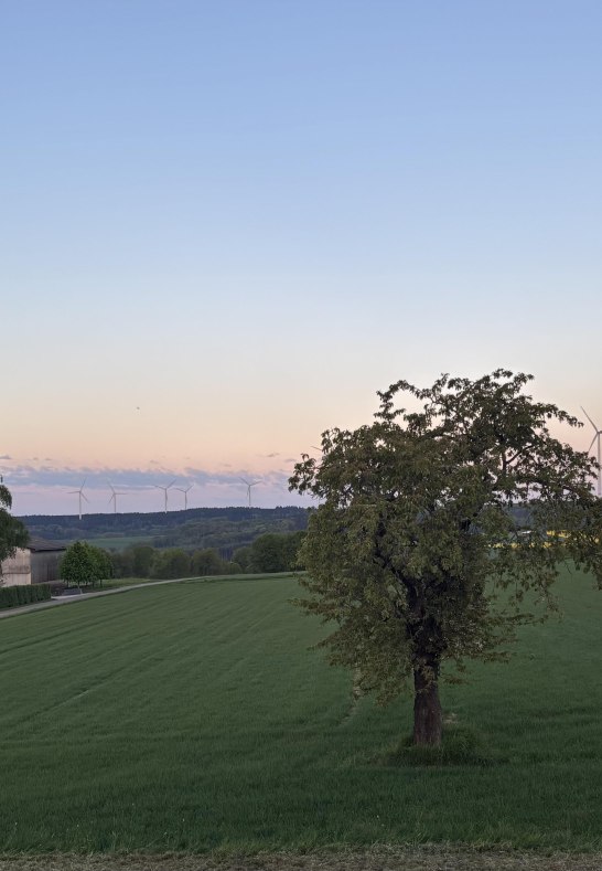 Abend Aussicht aus dem Fenster | &copy; Dagmar Meyer