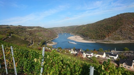 Im Vordergrund sind Weinberge zu sehen. Im Hintergrund der Rhein und ein paar H&auml;user von Oberwesel. | &copy; TI Hunsr&uuml;ck-Mittelrhein