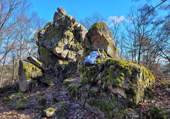 Kuckucksnacks a | &copy; E. Bender