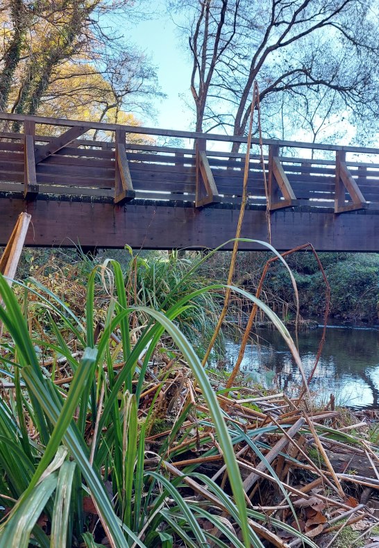 Brücke | © T. Biersch