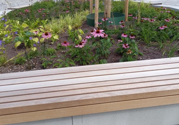 Sitzbank am Marktplatz | &copy; TI Hunsr&uuml;ck-Mittelrhein