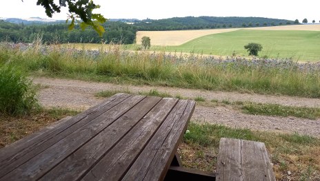 Picknickbank mit Fernblick | © C. Vogt