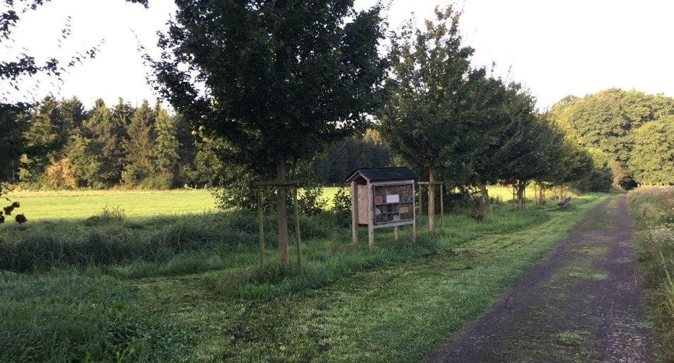 Am Biotop | © M. Rach Am Biotop | © M. Rach