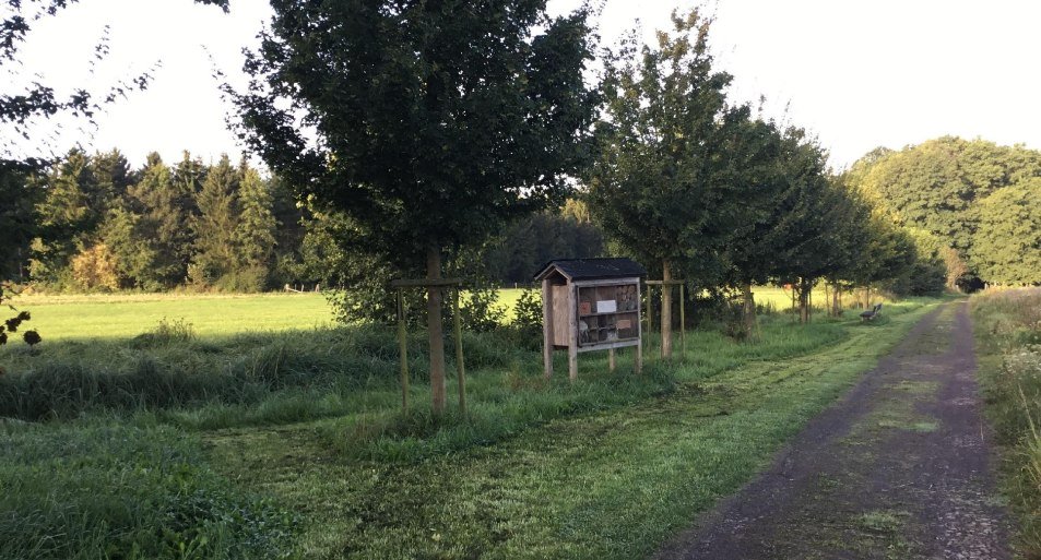 Am Biotop | © M. Rach Am Biotop | © M. Rach