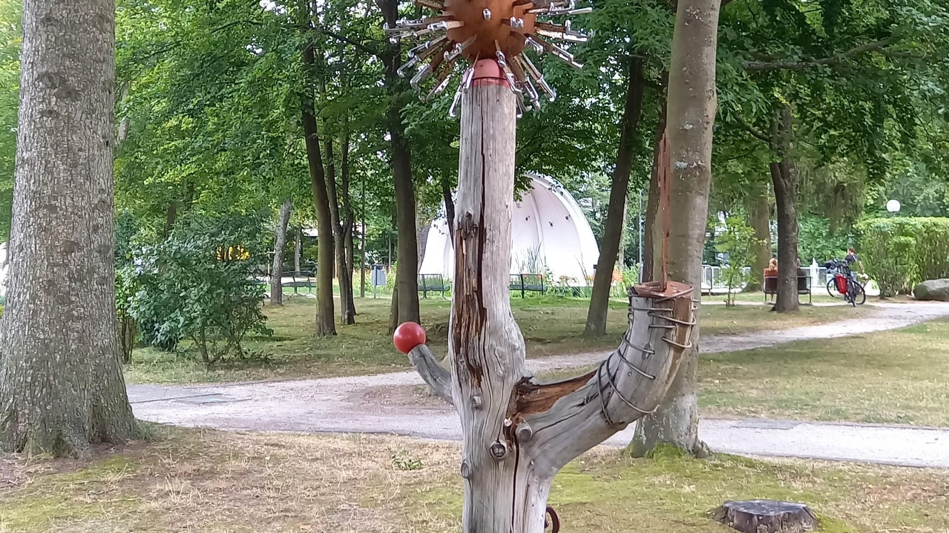 Coronabaum im Park | © C. Vogt