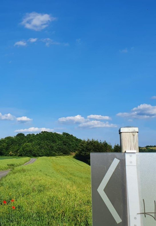 Hof.Hardth&ouml;he.Fr&uuml;hling.Zufahrt | &copy; Hof Hardth&ouml;he