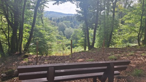 Niederbachtalblick | © T. Biersch