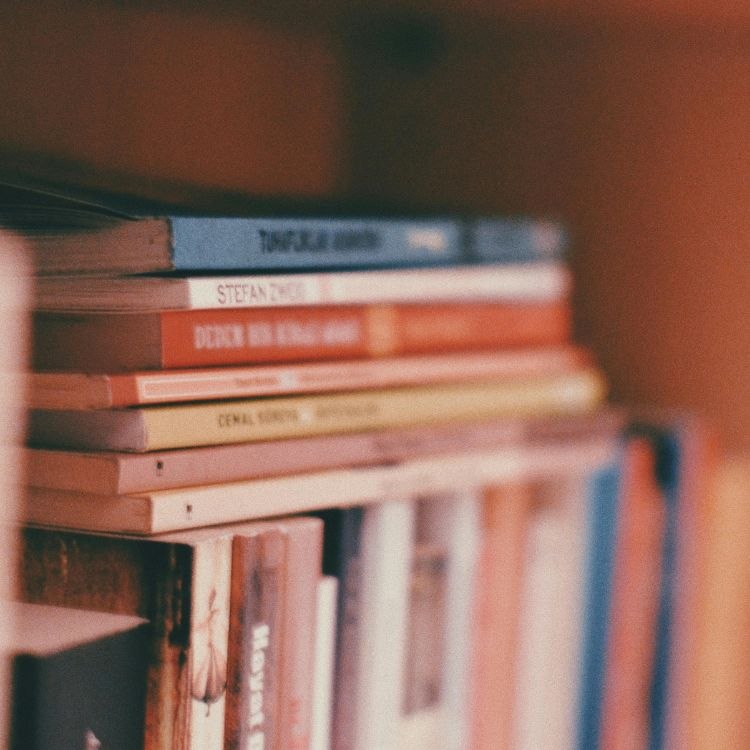 B&uuml;cher gestapelt in einem B&uuml;cherregal | &copy; Canva/TI Hunsr&uuml;ck-Mittelrhein